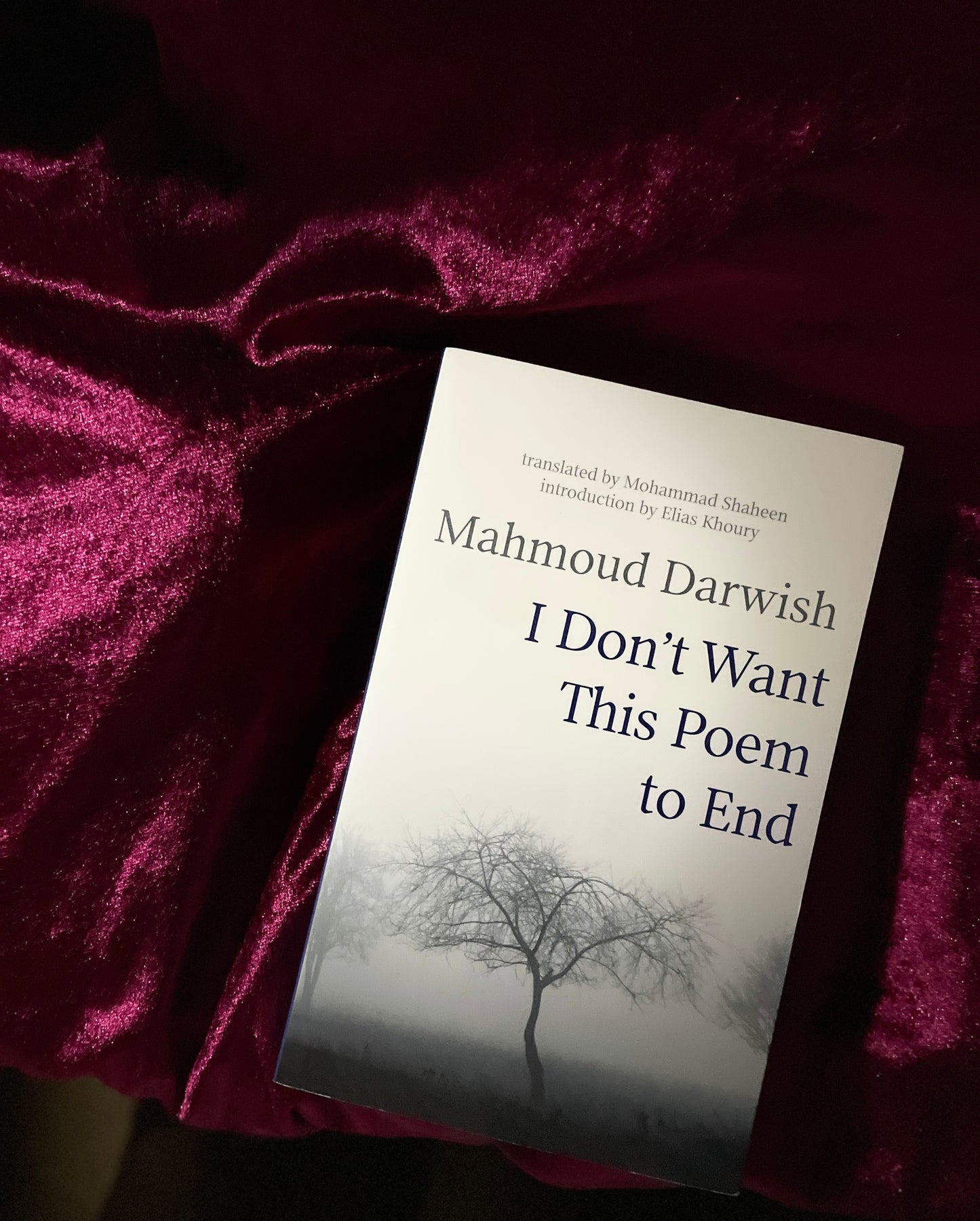 I Don't Want This Poem to End: Early and Late Poems