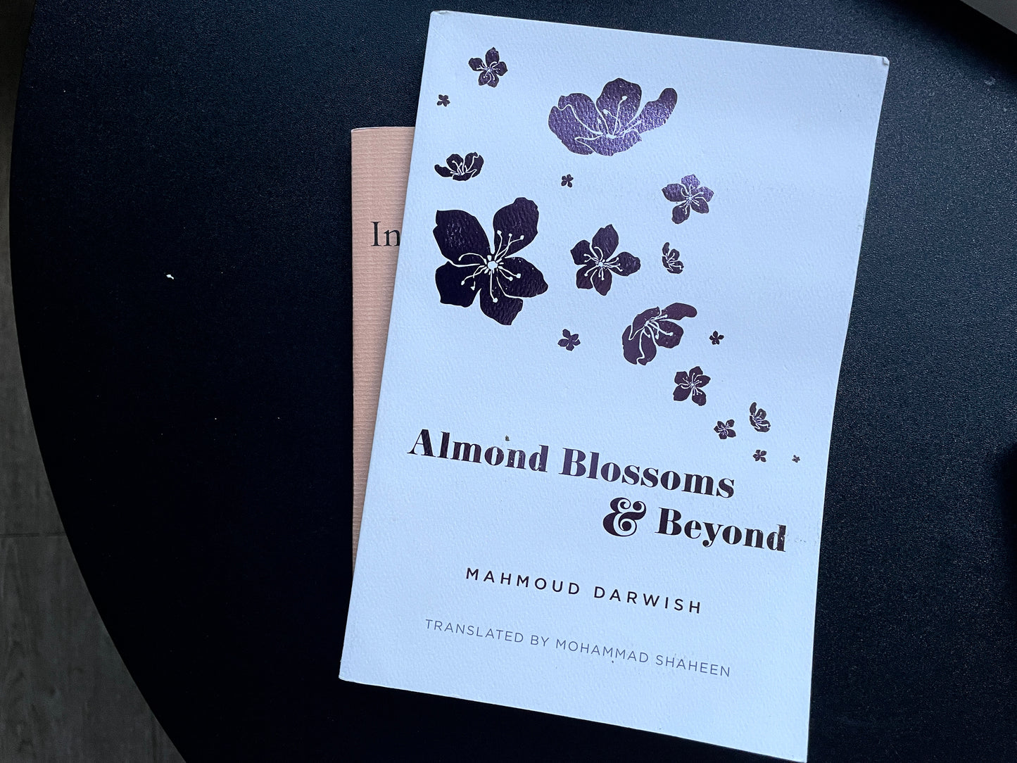 Almond Blossoms and Beyond