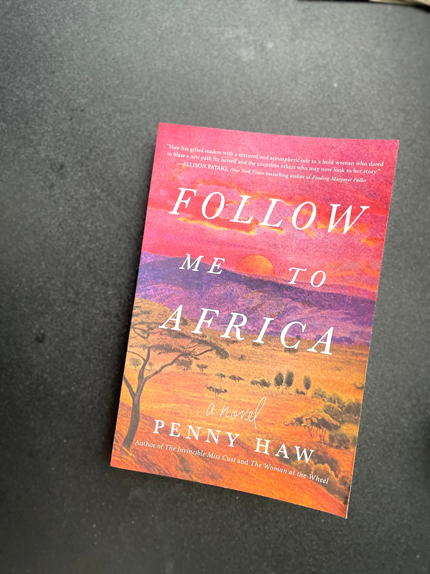 Follow Me to Africa