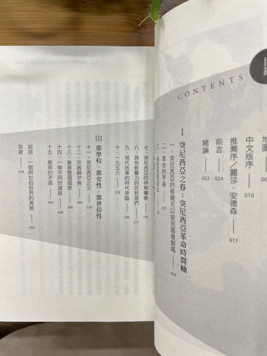 突尼西亞:阿拉伯世界的民主曙光