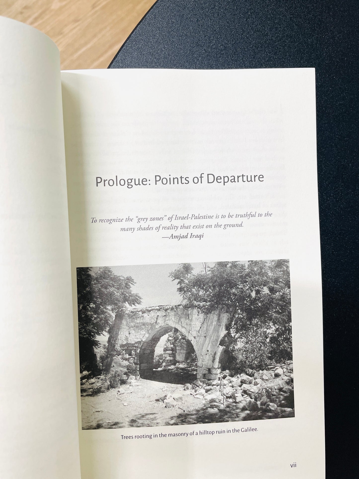 Tracing Homelands: Israel, Palestine, and the Claims of Belonging