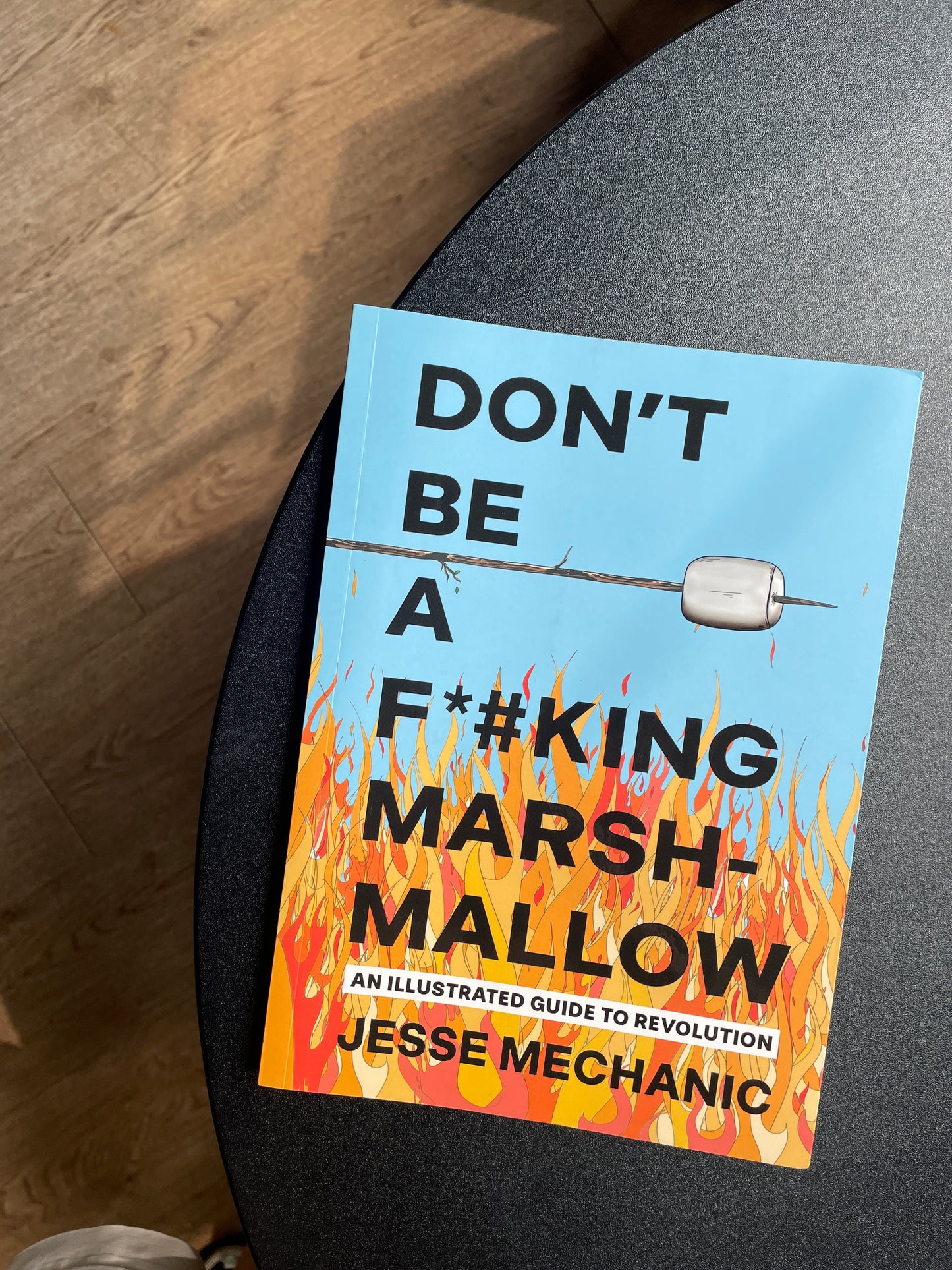 Don't Be A F*#king Marshmallow: An Illustrated Guide to Revolution