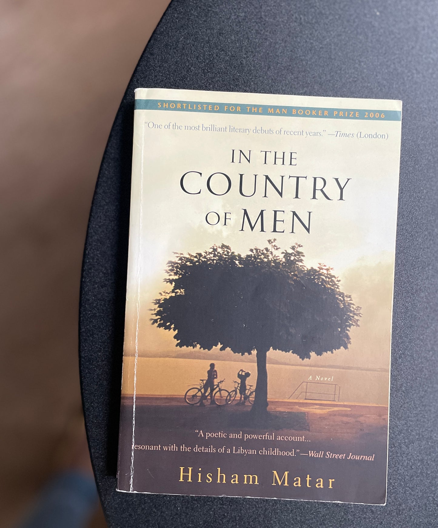 In the Country of Men: A Novel