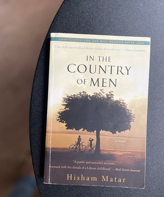 In the Country of Men: A Novel