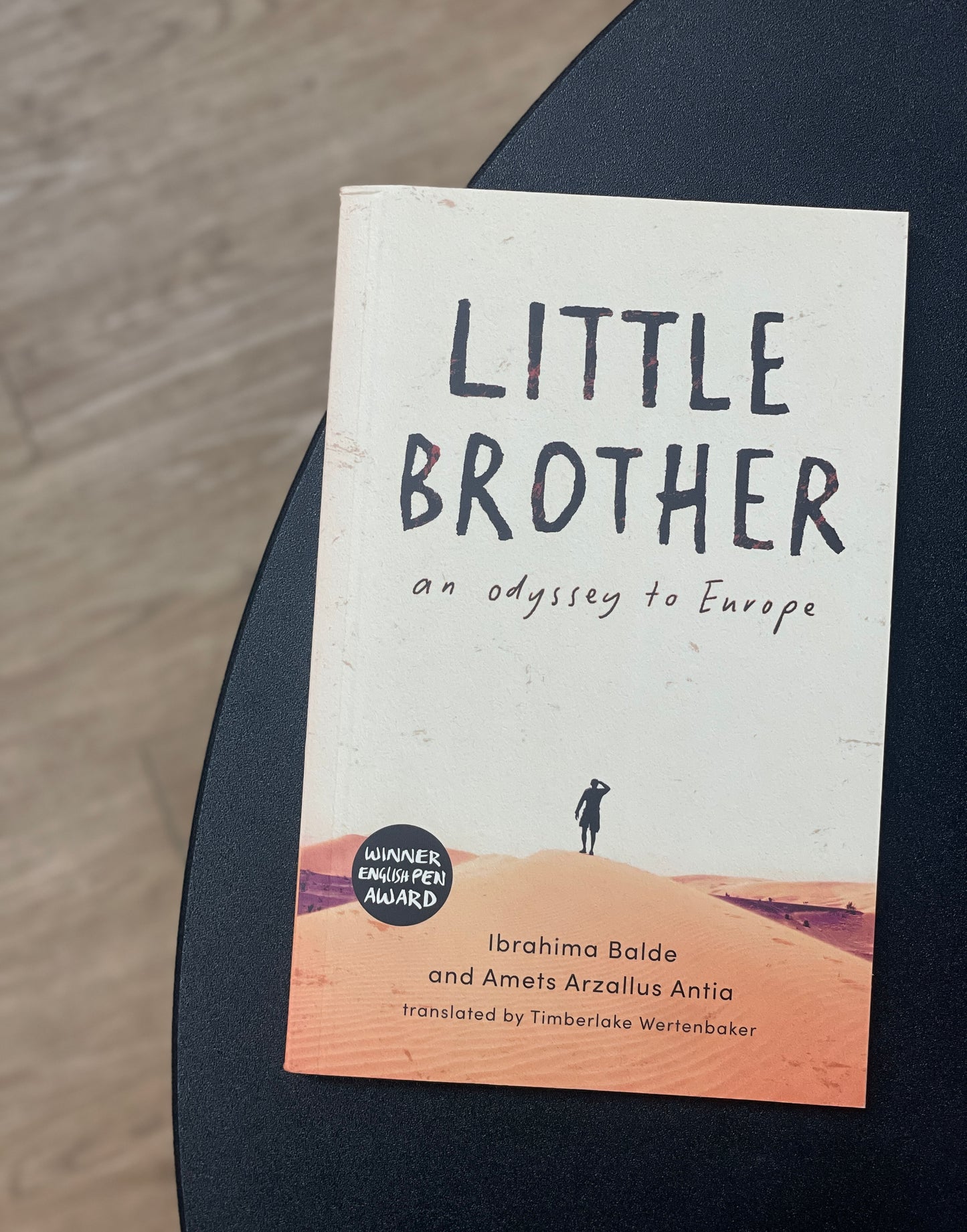 Little Brother: An Odyssey to Europe