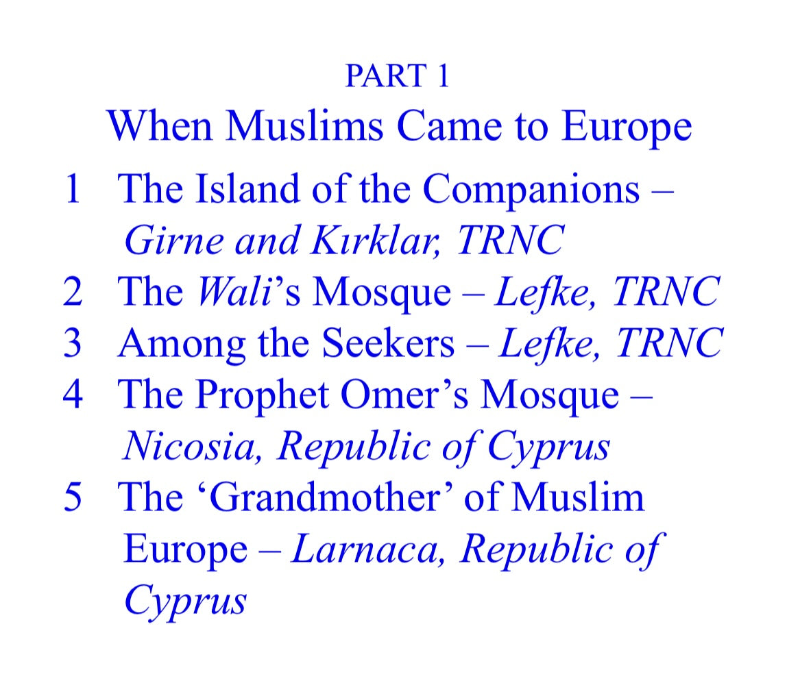 Muslim Europe A Journey in Search of a Fourteen Hundred Year History