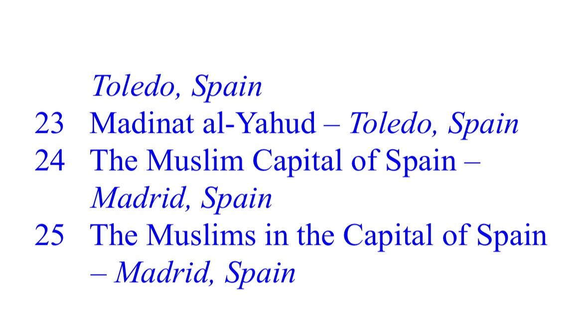 Muslim Europe A Journey in Search of a Fourteen Hundred Year History