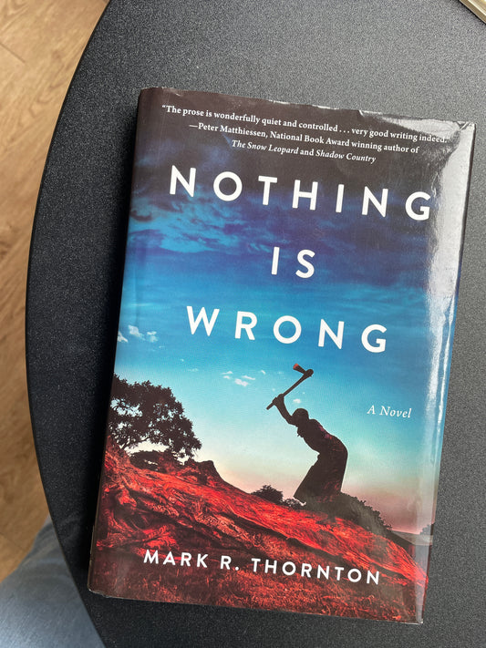 Nothing Is Wrong: A Novel