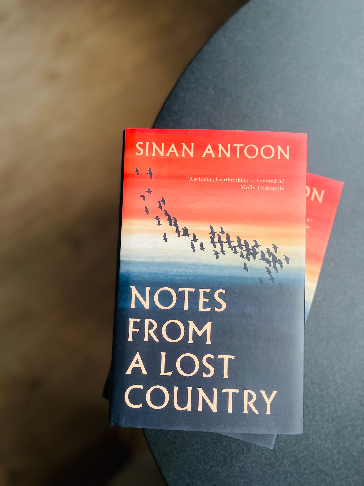 Notes from a Lost Country
