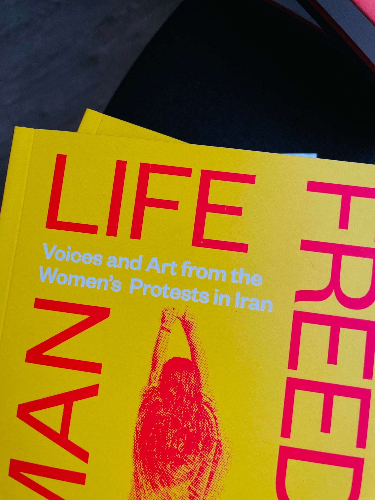 Woman Life Freedom Voices and Art from the Women’s Protests in Iran
