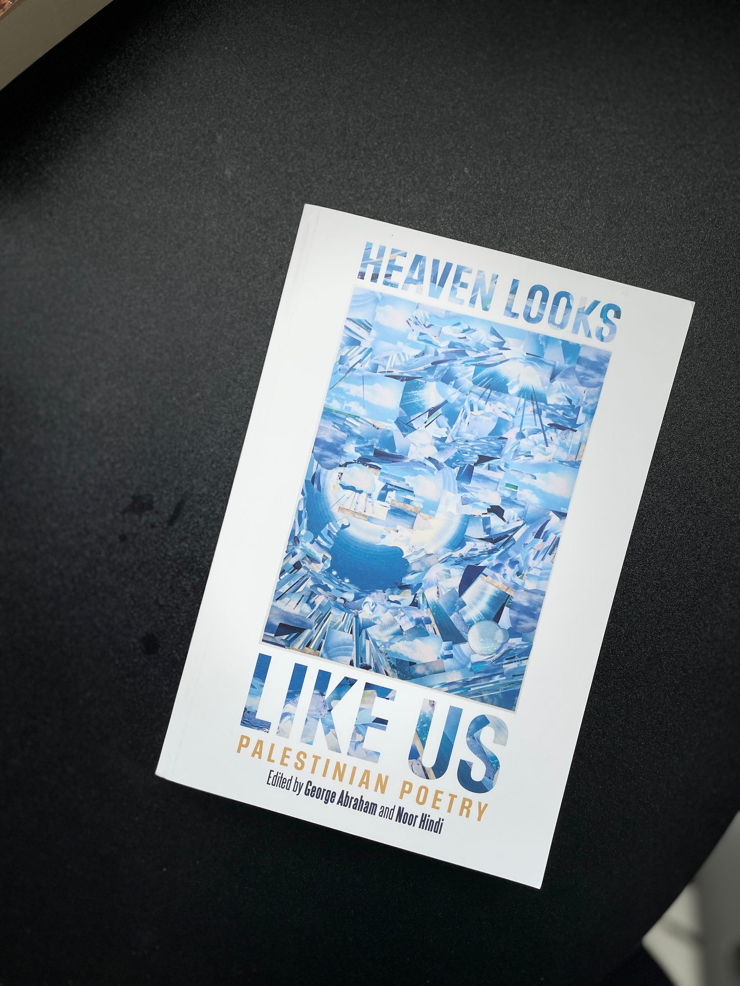 Heaven Looks Like Us: Palestinian Poetry