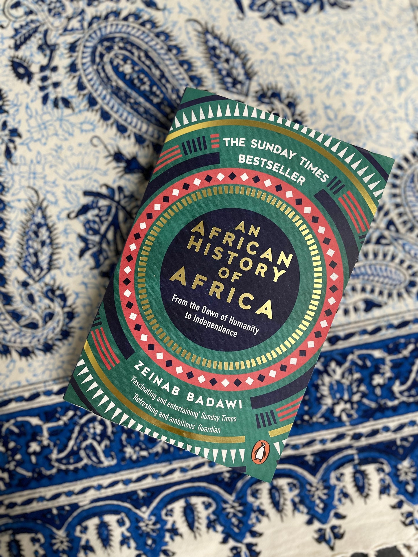 An African History of Africa
