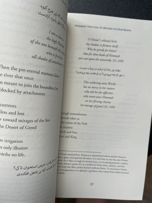 HAFEZ: A Poetic Portal Into the Soul