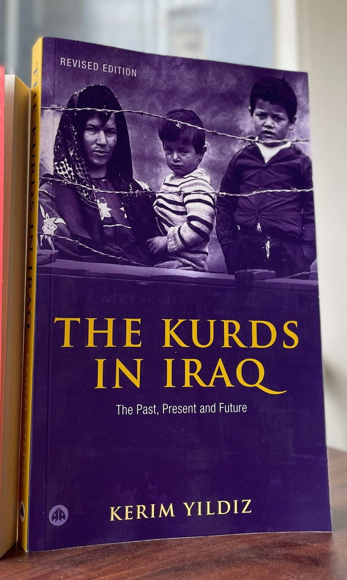 The Kurds in Iraq: The Past, Present and Future