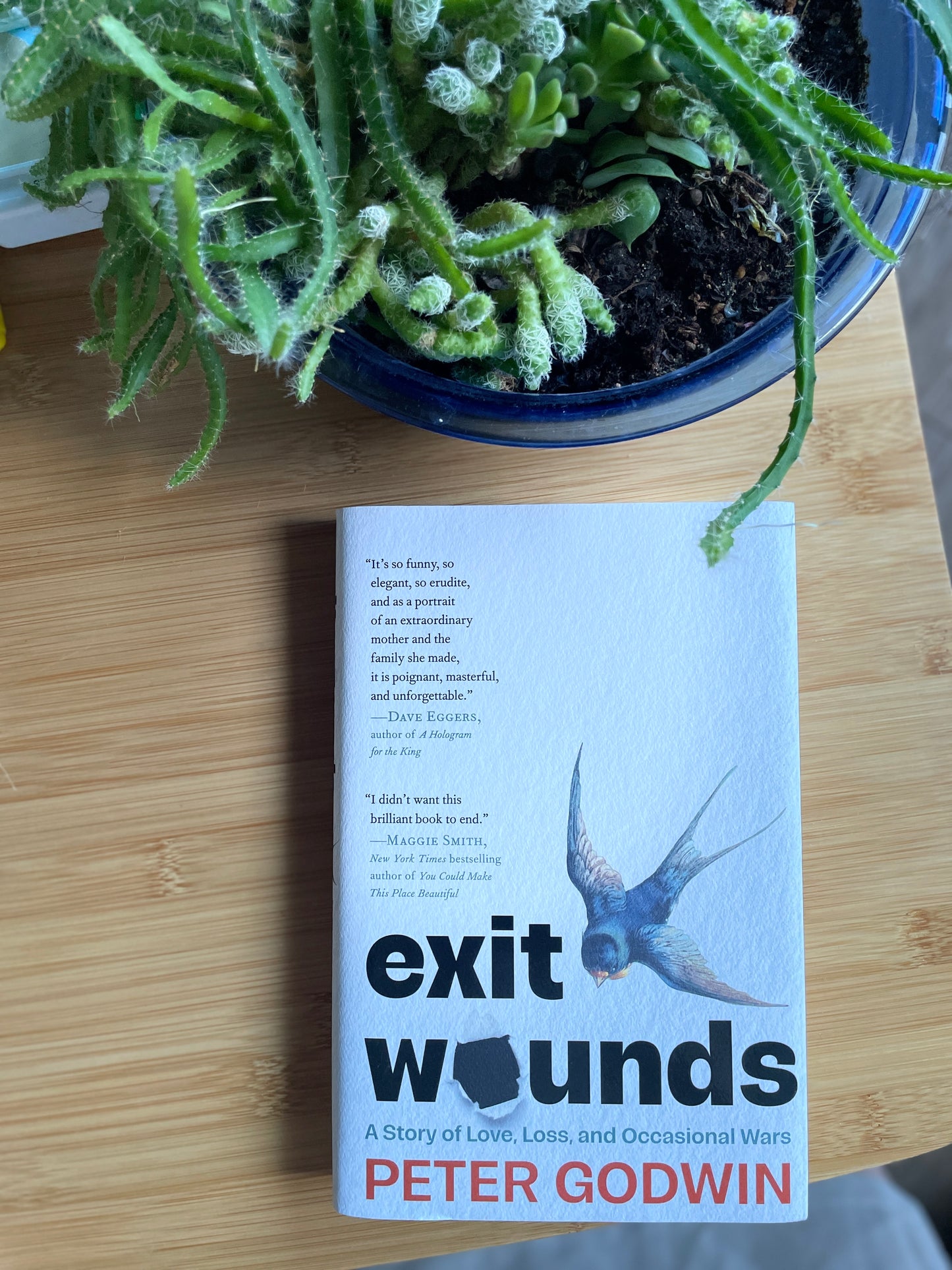 Exit Wounds: A story of Love, Loss and Occasional Wars