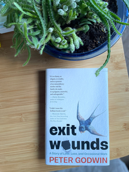 Exit Wounds: A story of Love, Loss and Occasional Wars