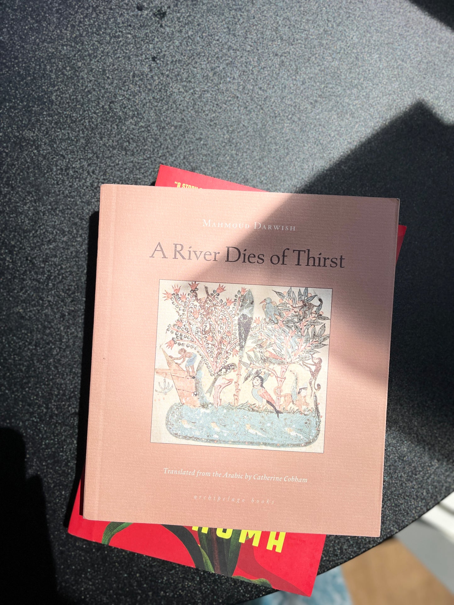 A River Dies of Thirst: Journals