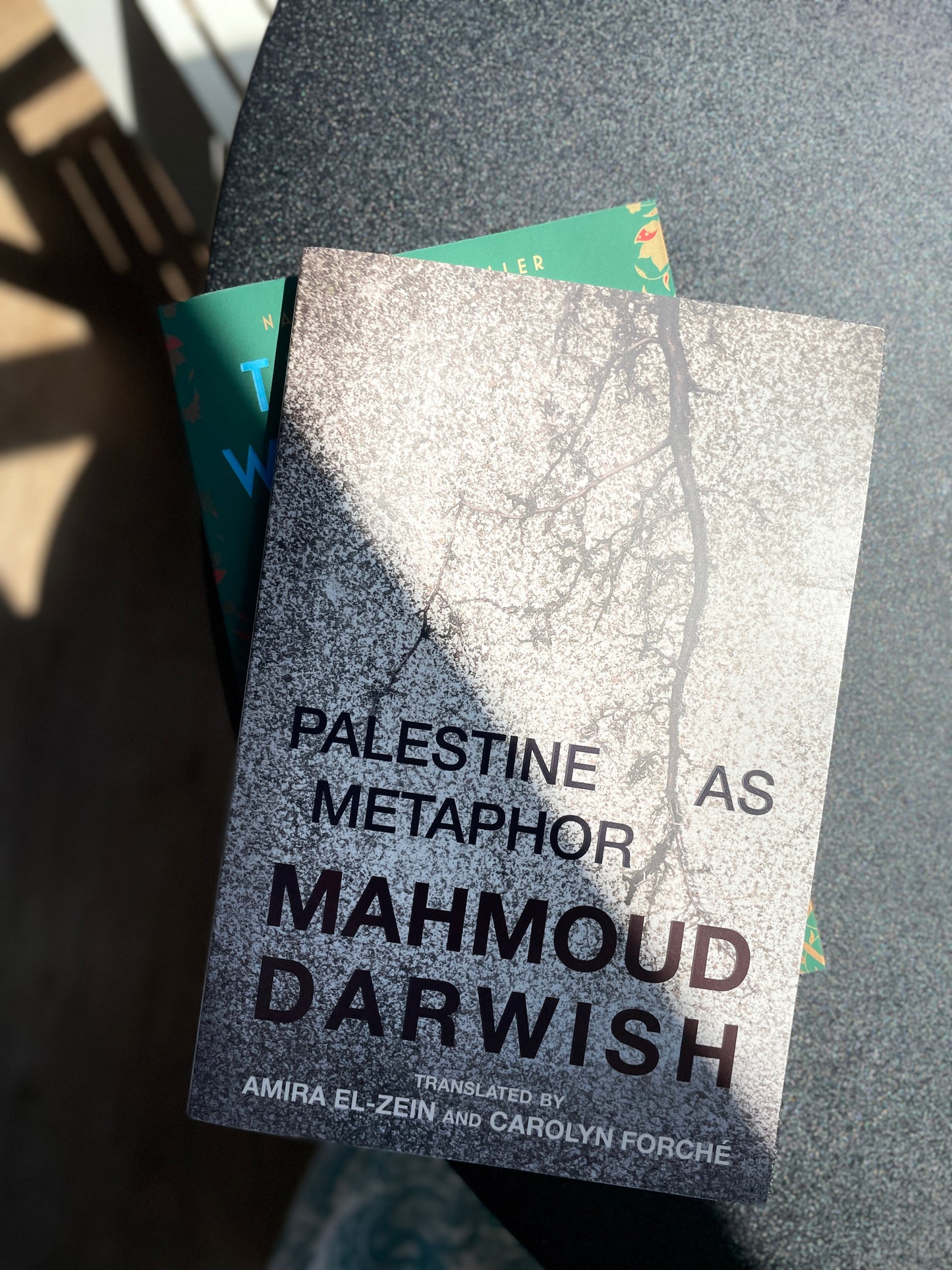 Palestine as Metaphor