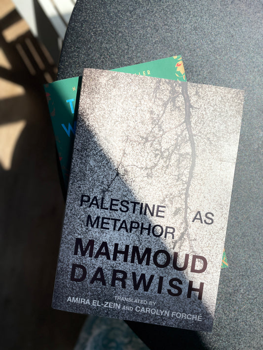 Palestine as Metaphor