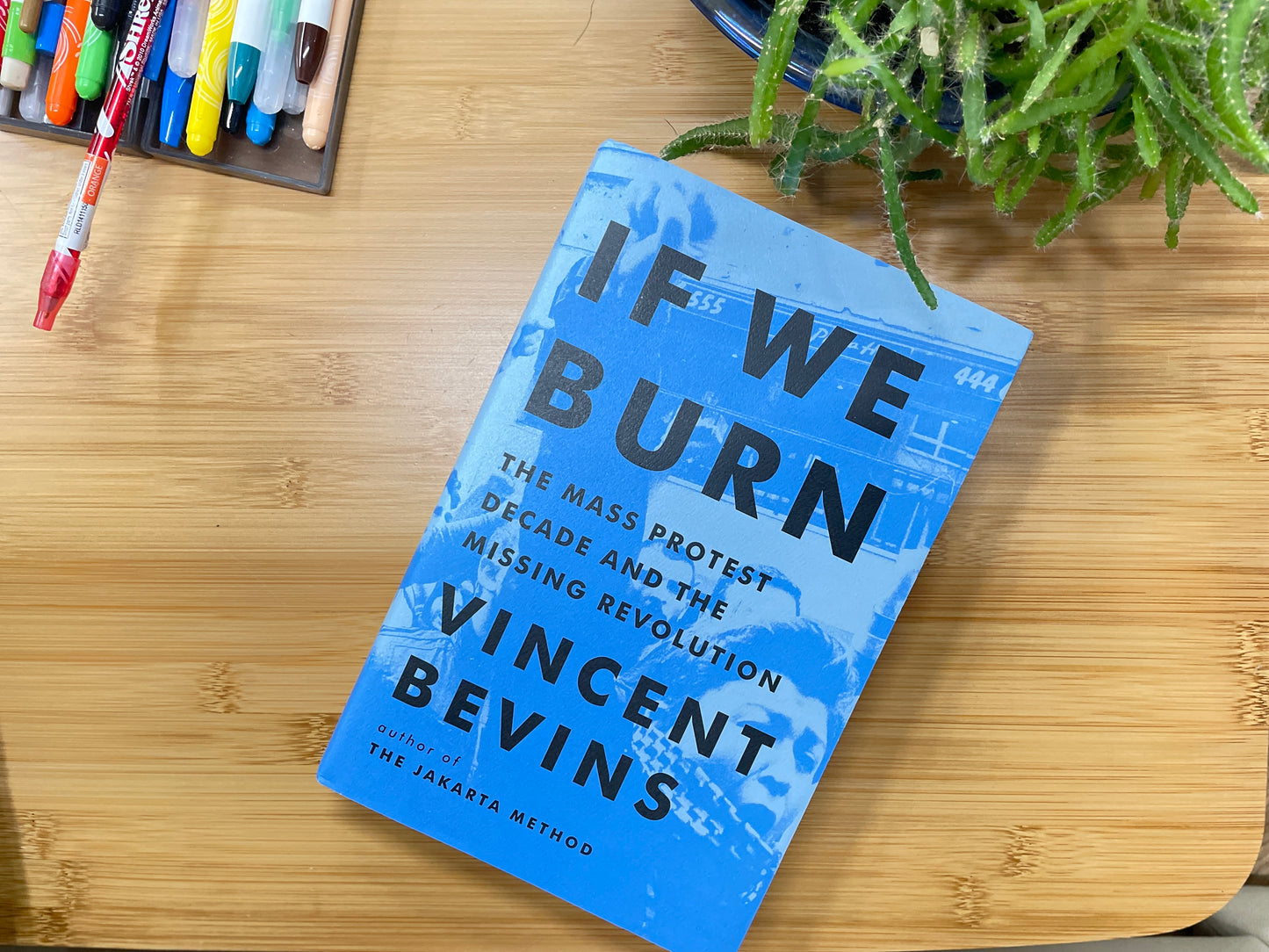 If We Burn: The Mass Protest Decade and the Missing Revolution