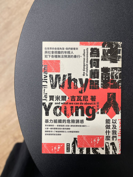 年輕人為何憤怒：暴力組織的危險誘惑以及我們能做什麼