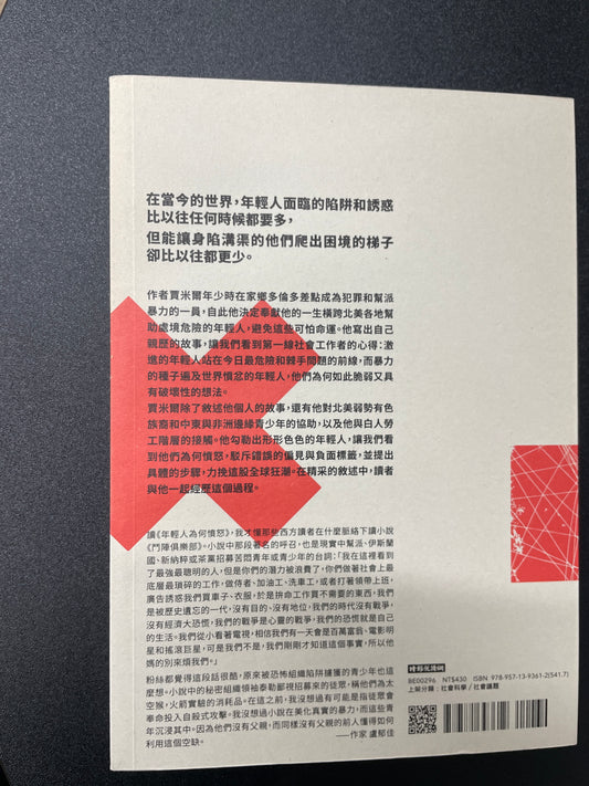 年輕人為何憤怒：暴力組織的危險誘惑以及我們能做什麼