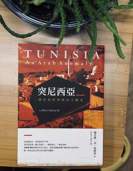 突尼西亞：阿拉伯世界的民主曙光