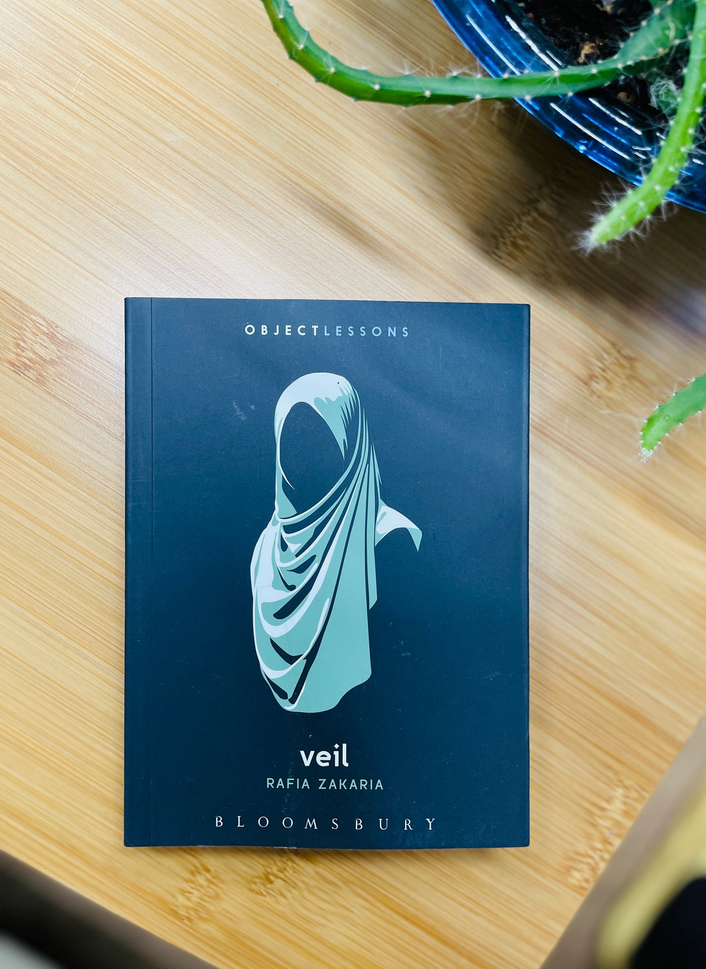 Veil (Object lessons)